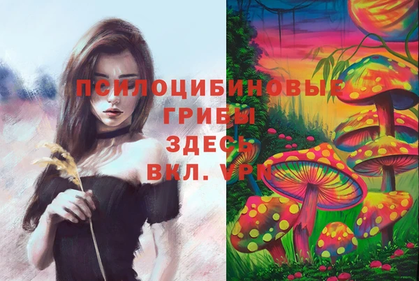 прущий лед Ладушкин