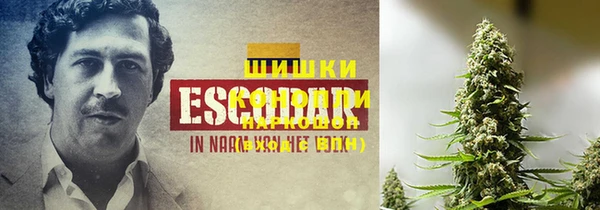 прущий лед Ладушкин