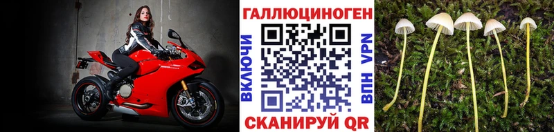это Telegram  Октябрьский  Псилоцибиновые грибы Psilocybe 