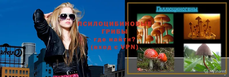 Галлюциногенные грибы Magic Shrooms  Октябрьский 